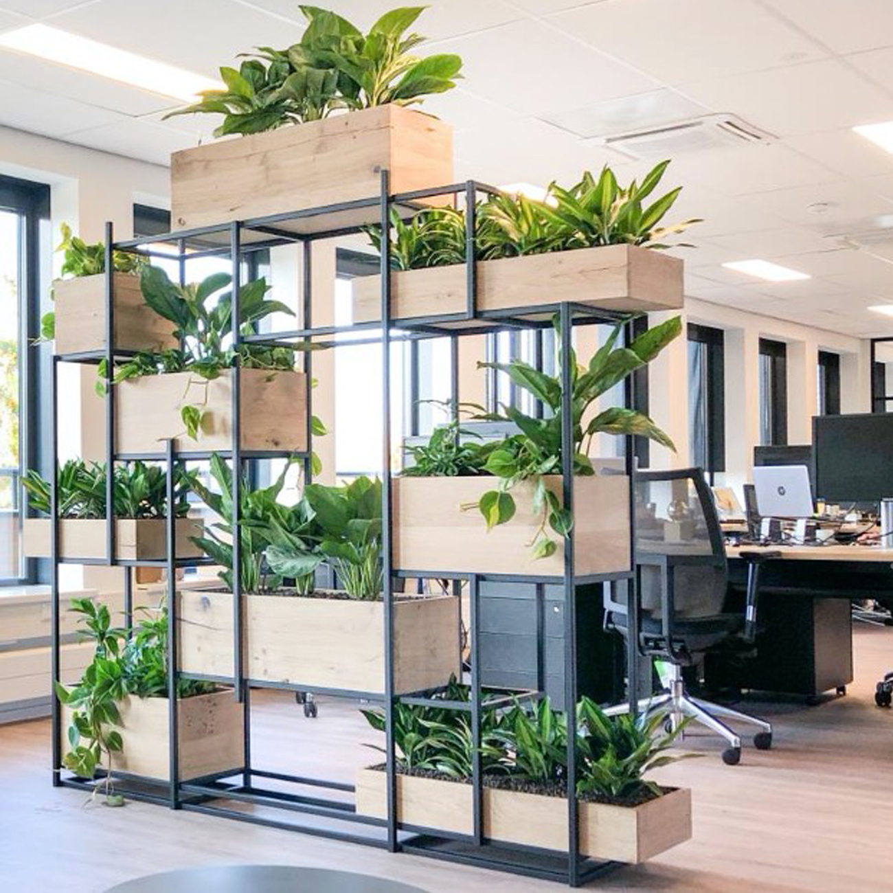 Plantenkast groenmuur roomdivider Plantenkast groenmuur roomdivider