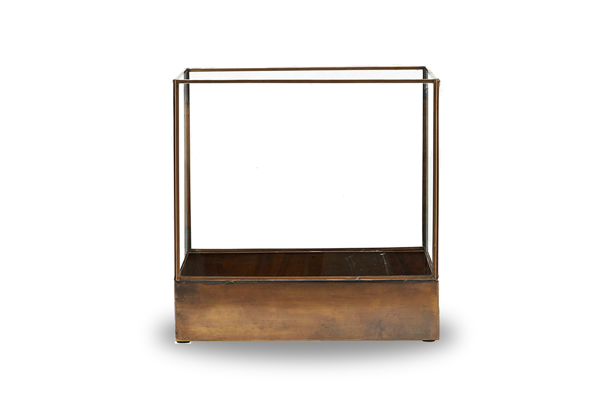 Productfoto Display Box Plant Antique Productfoto Display Box Plant Antique