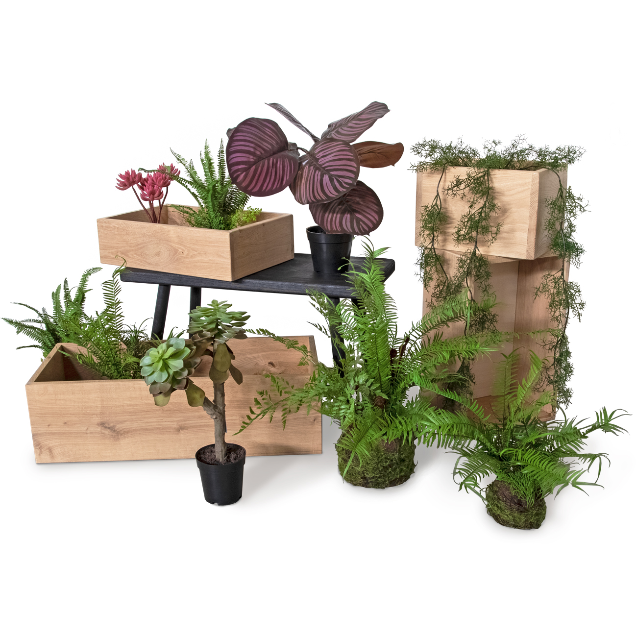 Roomdivider planten mix